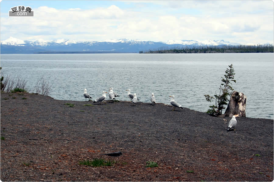 Yellowstone Lake