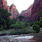 Zion River