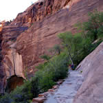 Observation Point Trail