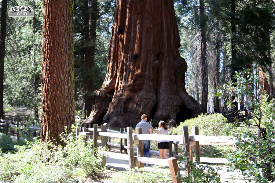 OgEO[u - Grant Grove